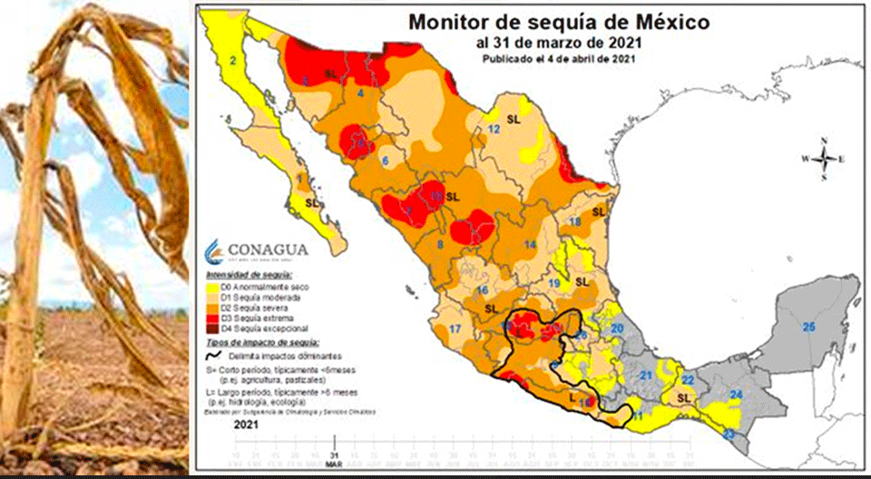 Padece Puebla sequía en el 60.8 % de su territorio