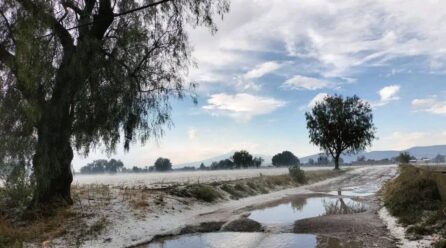 Evalúan daños por granizada que cubrió calles y campos de cultivo en municipios de Puebla