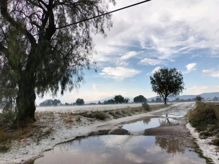 Evalúan daños por granizada que cubrió calles y campos de cultivo en municipios de Puebla